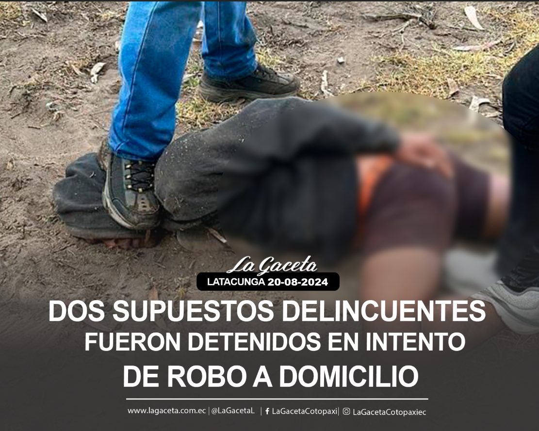 Dos supuestos delincuentes fueron detenidos en intento de robo a un domicilio