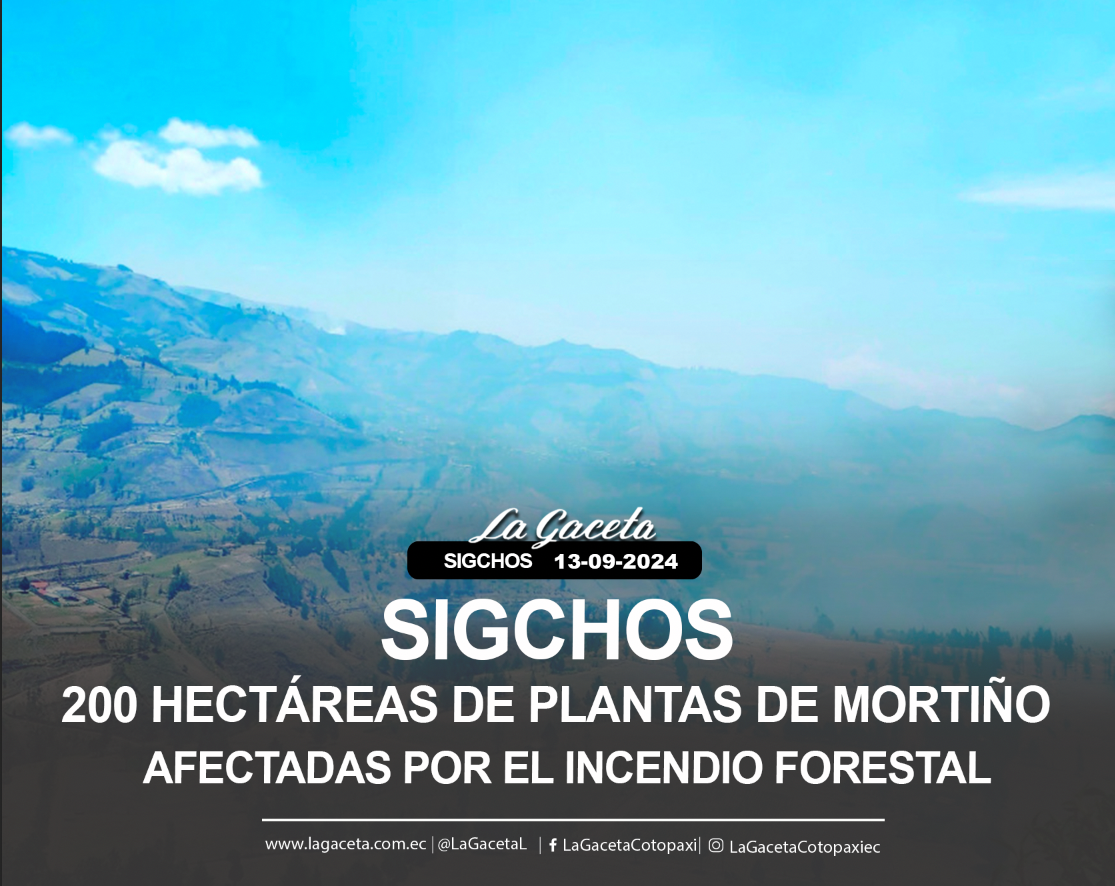 200 hectáreas de plantas de mortiño afectadas por el incendio forestal en Sigchos