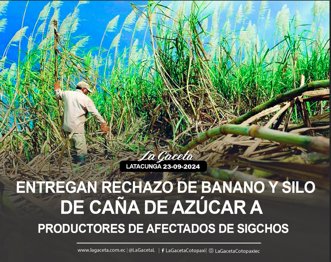 Entregan rechazo de banano y silo de caña de azúcar a productores afectados de Sigchos 