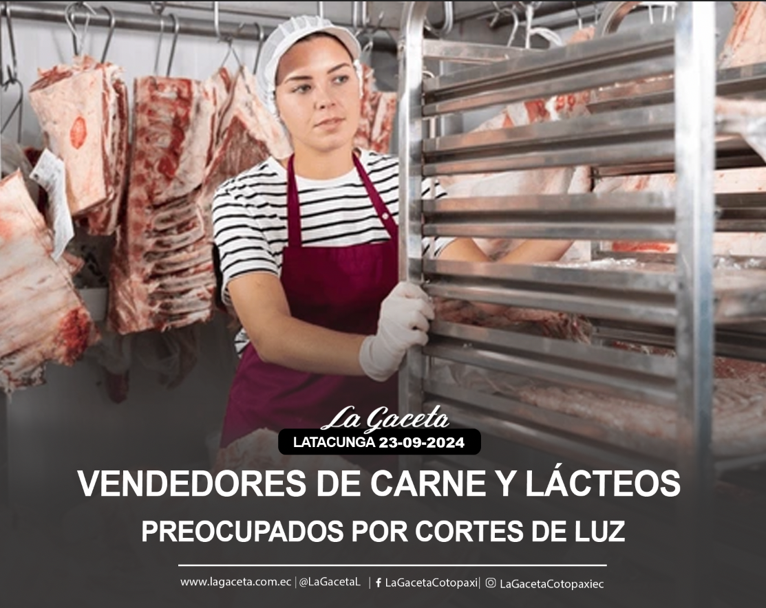 Vendedores de carne y lácteos preocupados por cortes de luz