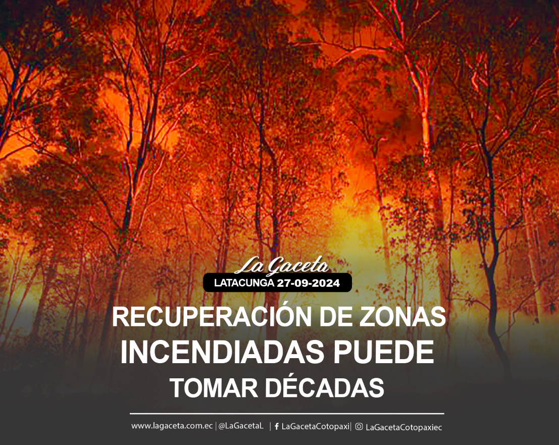 Recuperación de zonas incendiadas puede tomar décadas 