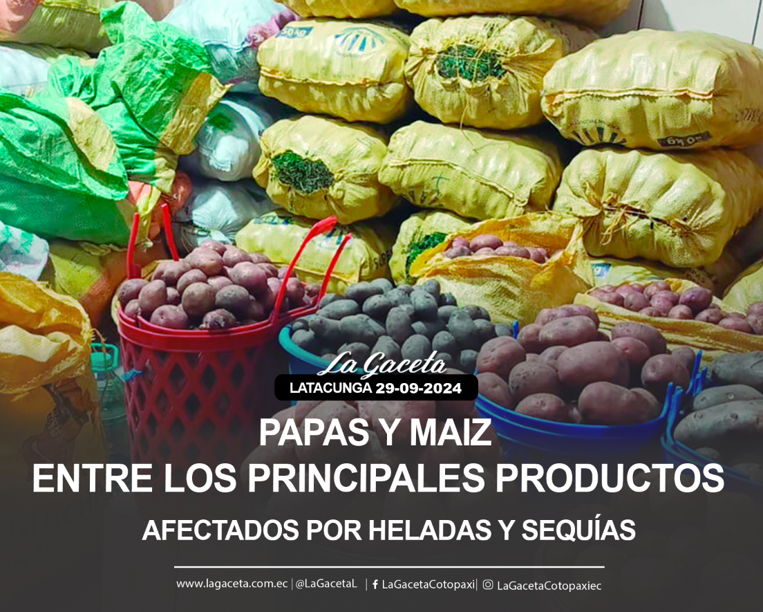 Papas y maíz entre los principales productos afectados por las heladas y sequías