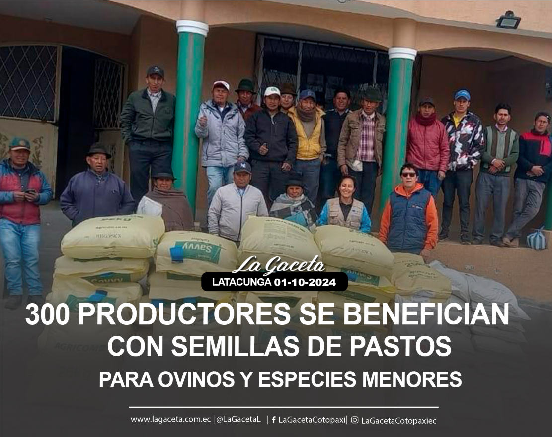 300 productores se benefician con semillas de pastos para ovinos y especies menores