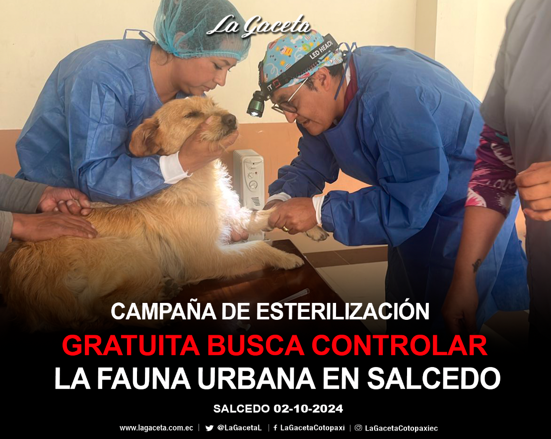 Campaña de esterilización gratuita busca controlar la fauna urbana en Salcedo