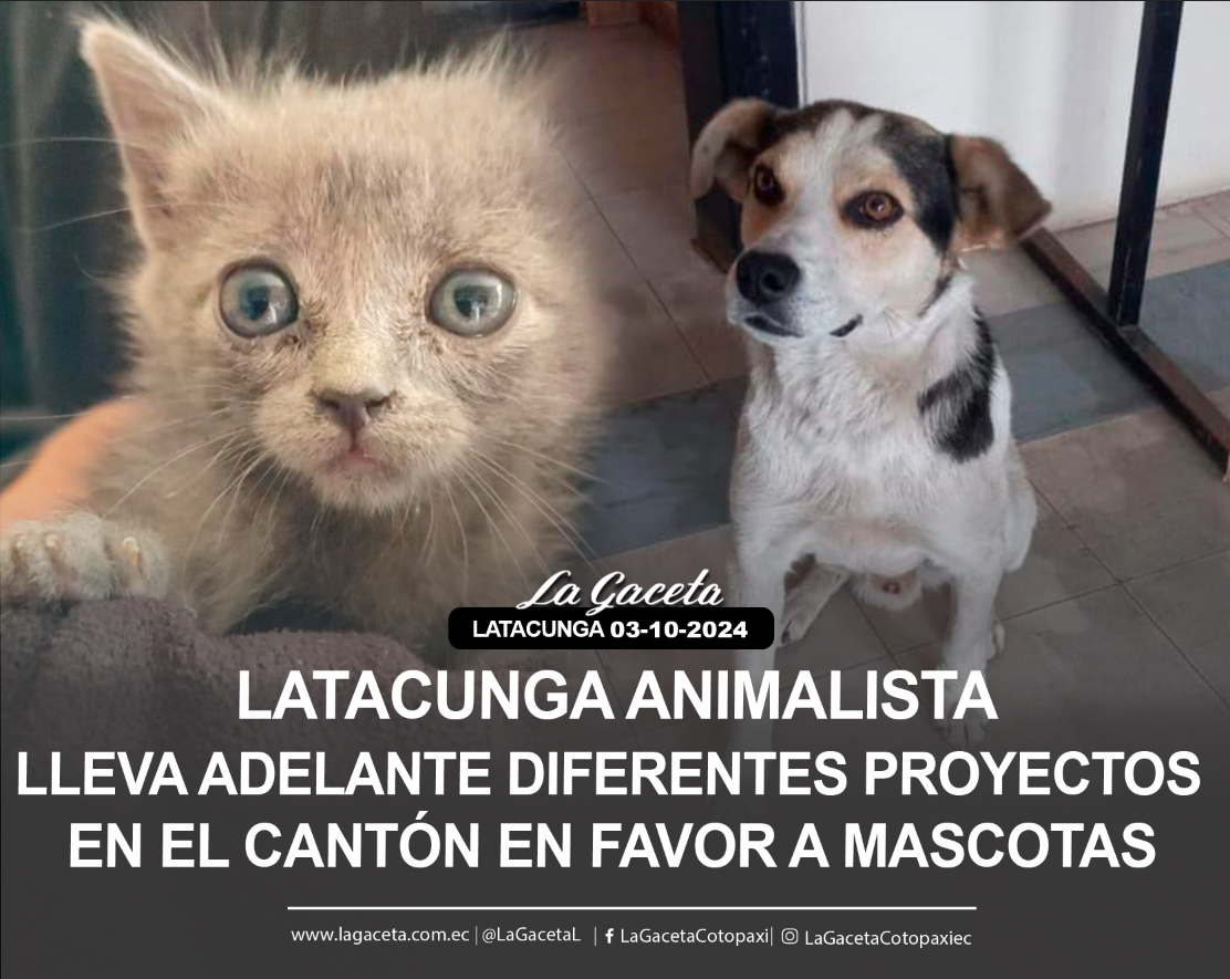 Latacunga animalista lleva adelante diferentes proyectos en el cantón en favor de mascotas