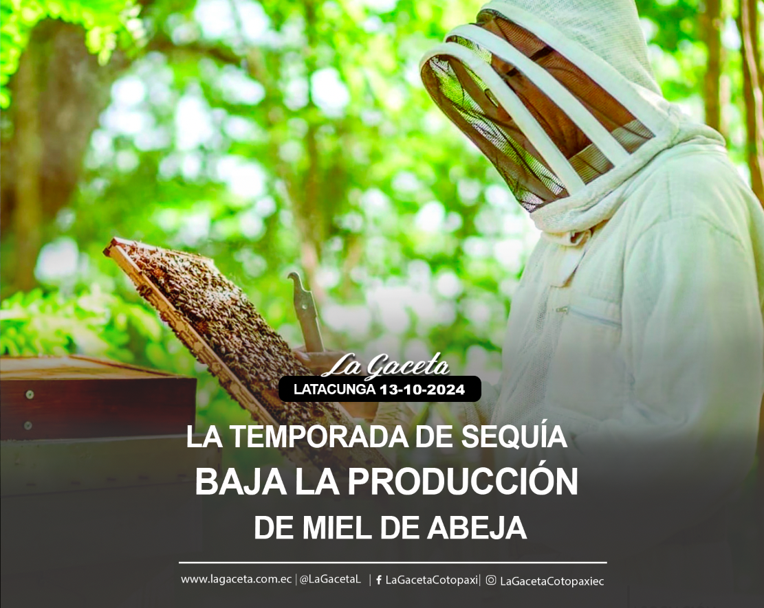 La temporada de sequía baja la producción de miel de abeja