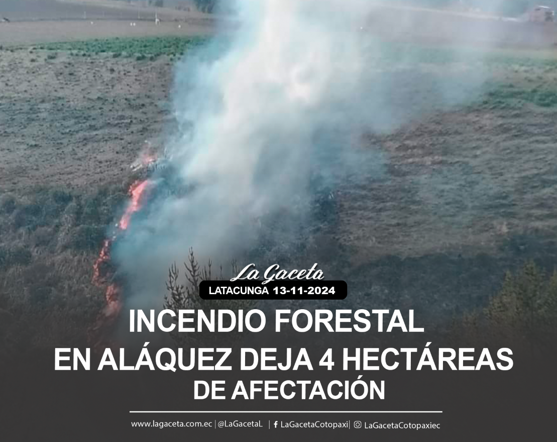 Incendio forestal en Aláquez deja 4 hectáreas de afectación