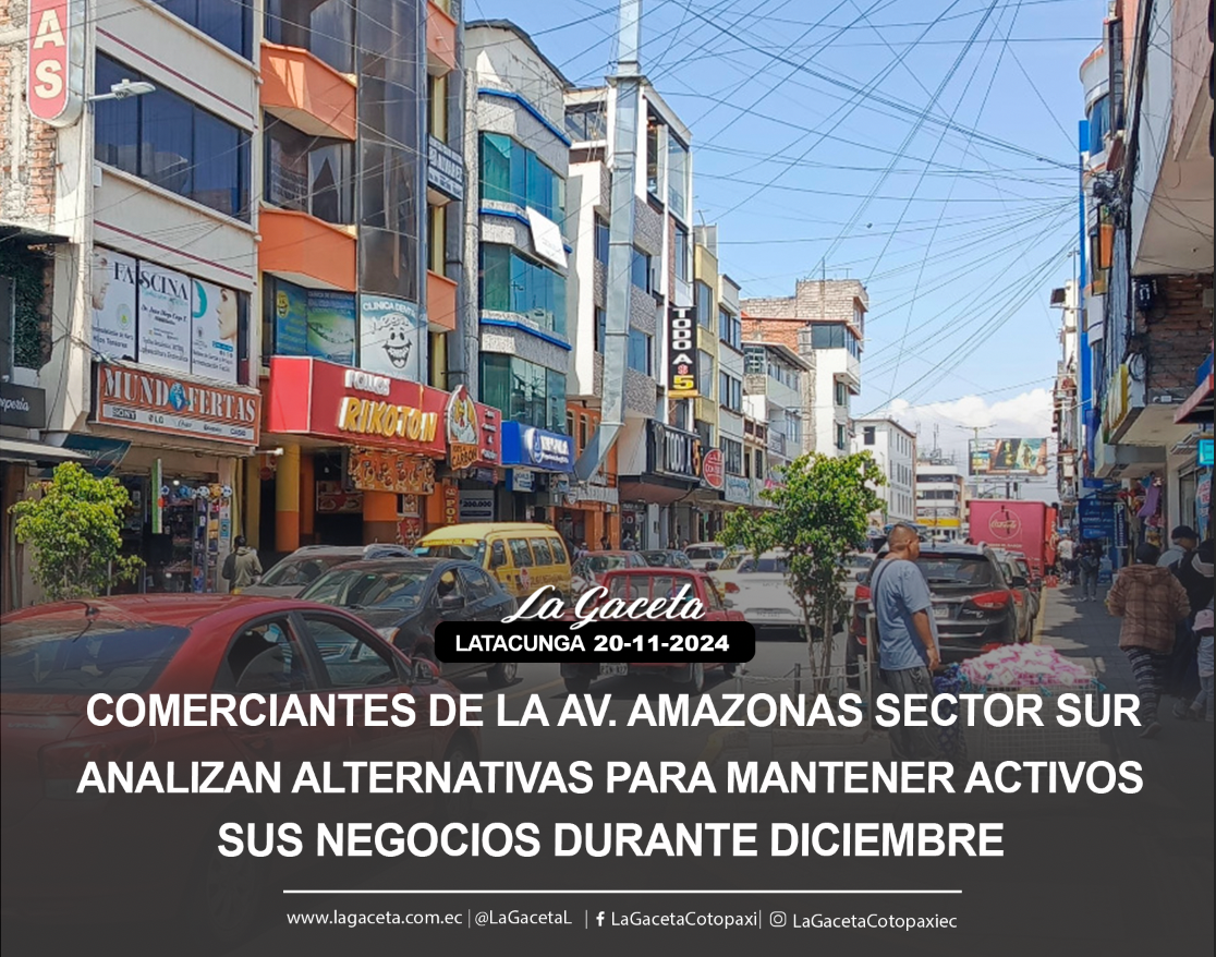 Comerciantes de la Av. Amazonas sector sur 