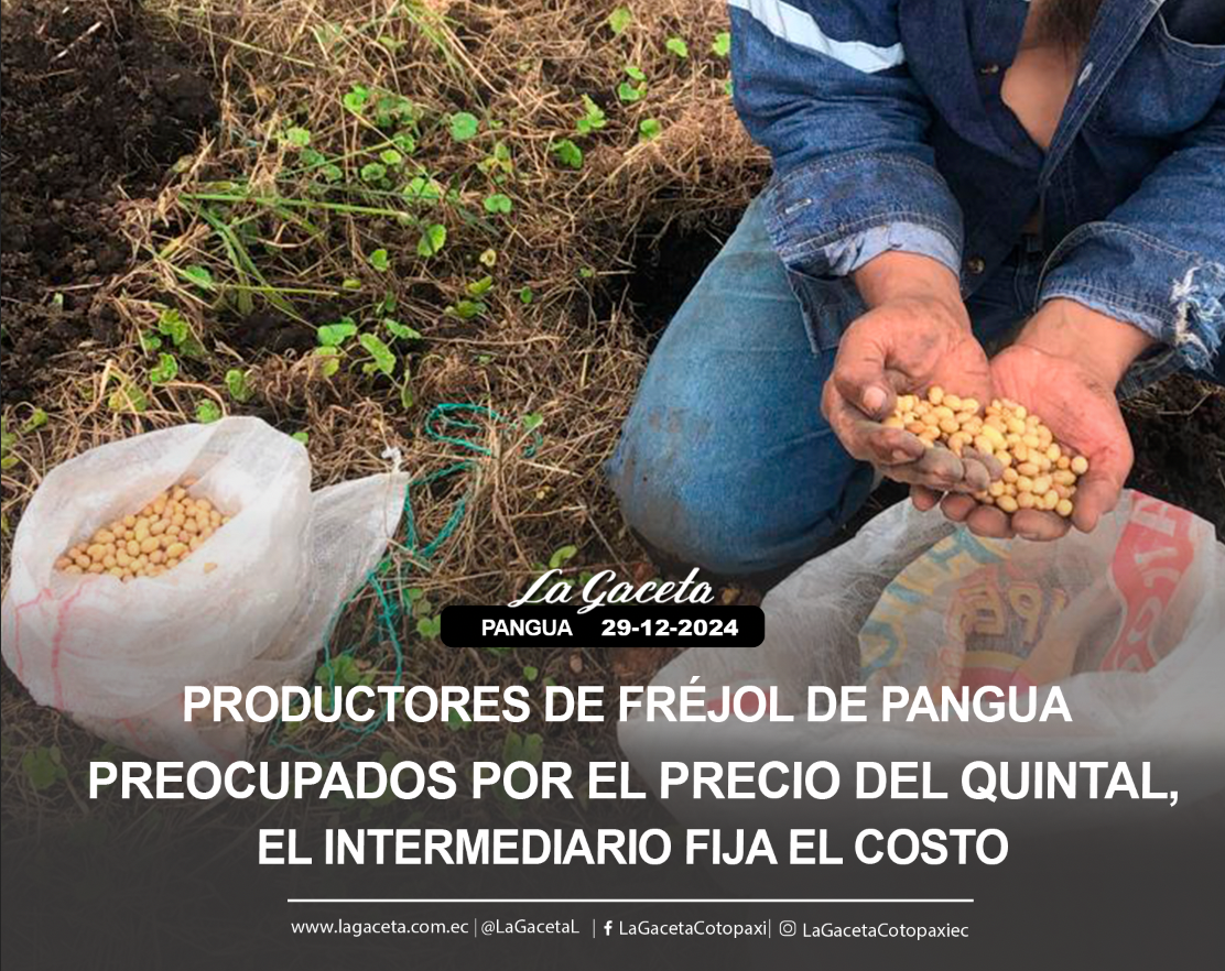 Productores de fréjol de Pangua 