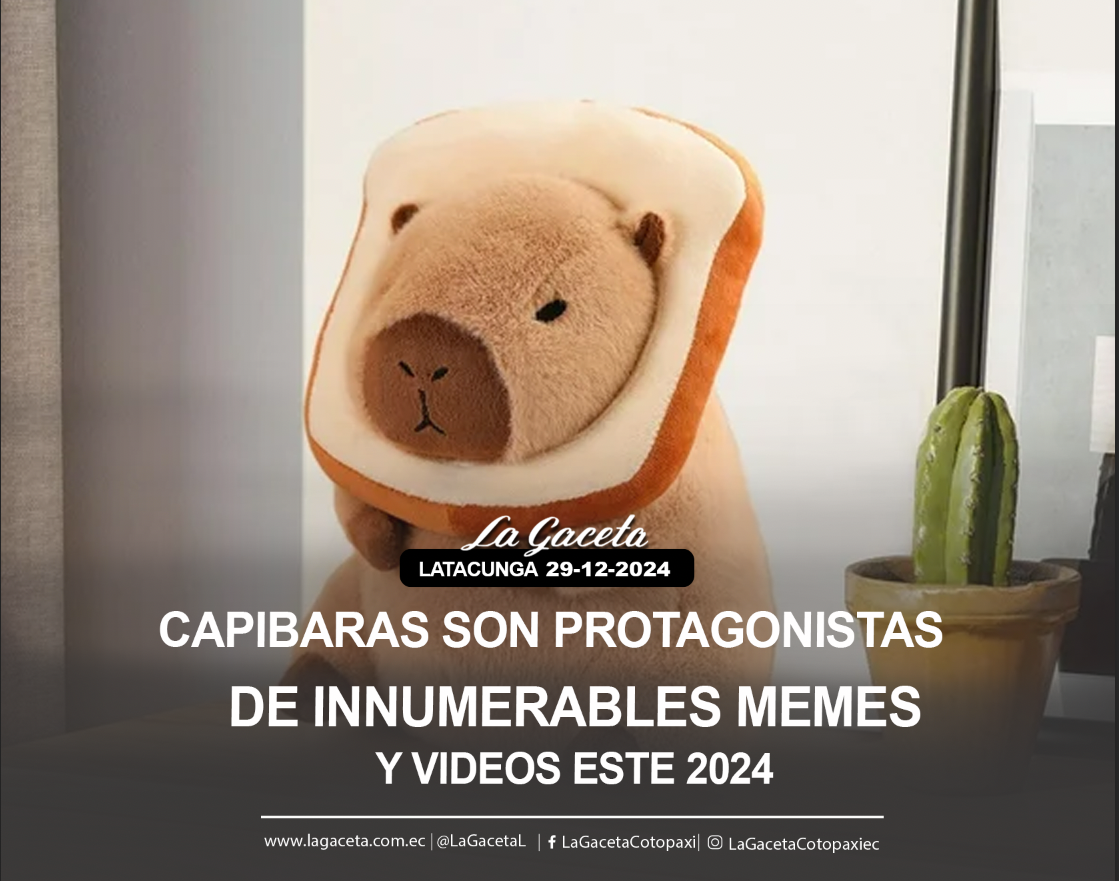 Capibaras son protagonistas de innumerables memes y videos este 2024