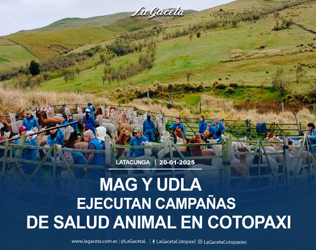 MAG y UDLA ejecutan campañas de salud animal en Cotopaxi