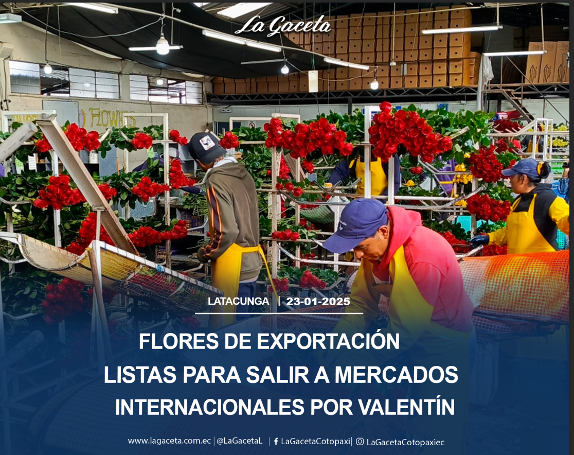 Flores de exportación listas para salir a mercados internacionales por Valentín