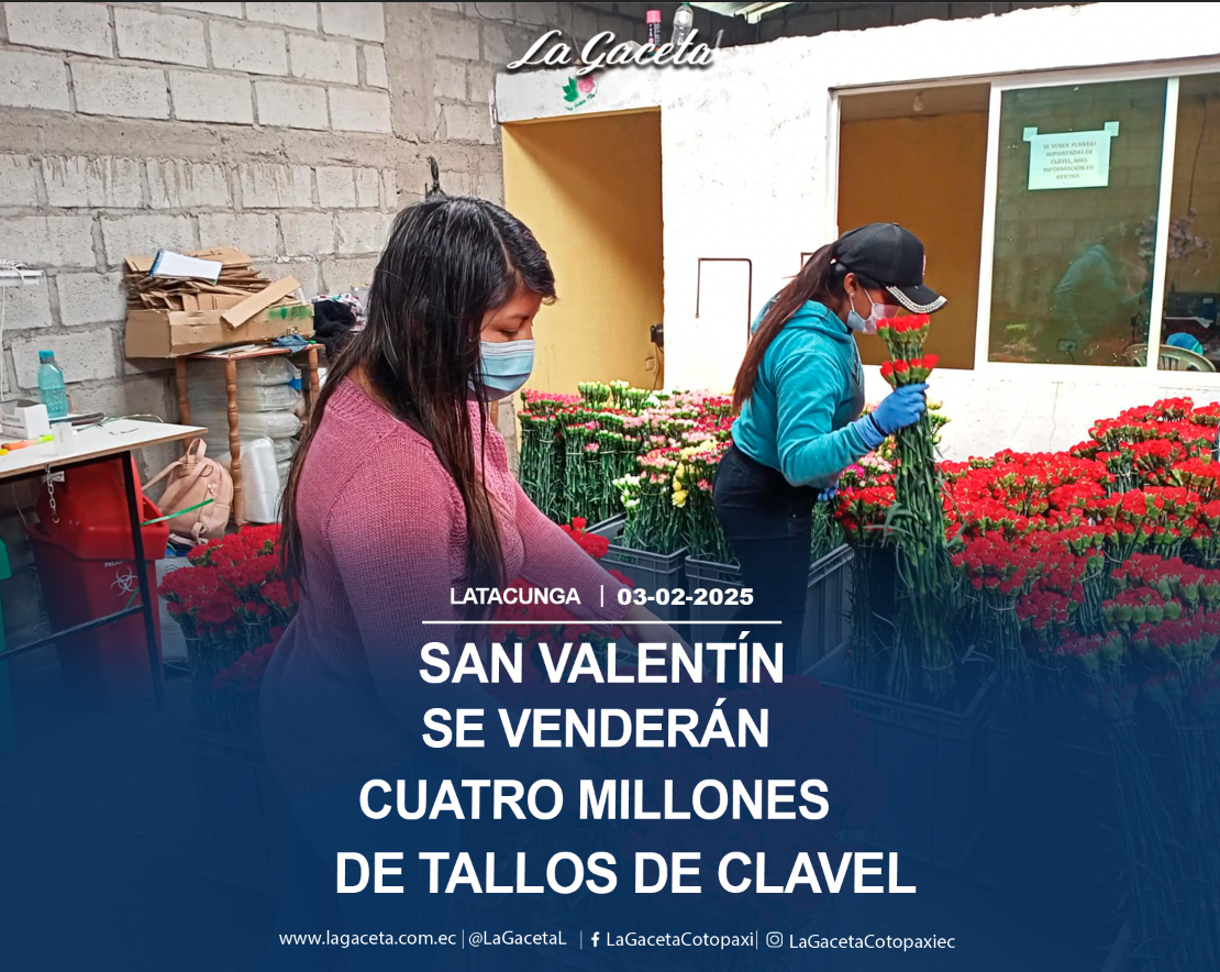 Cuatro millones de tallos de clavel se venderán por San Valentín