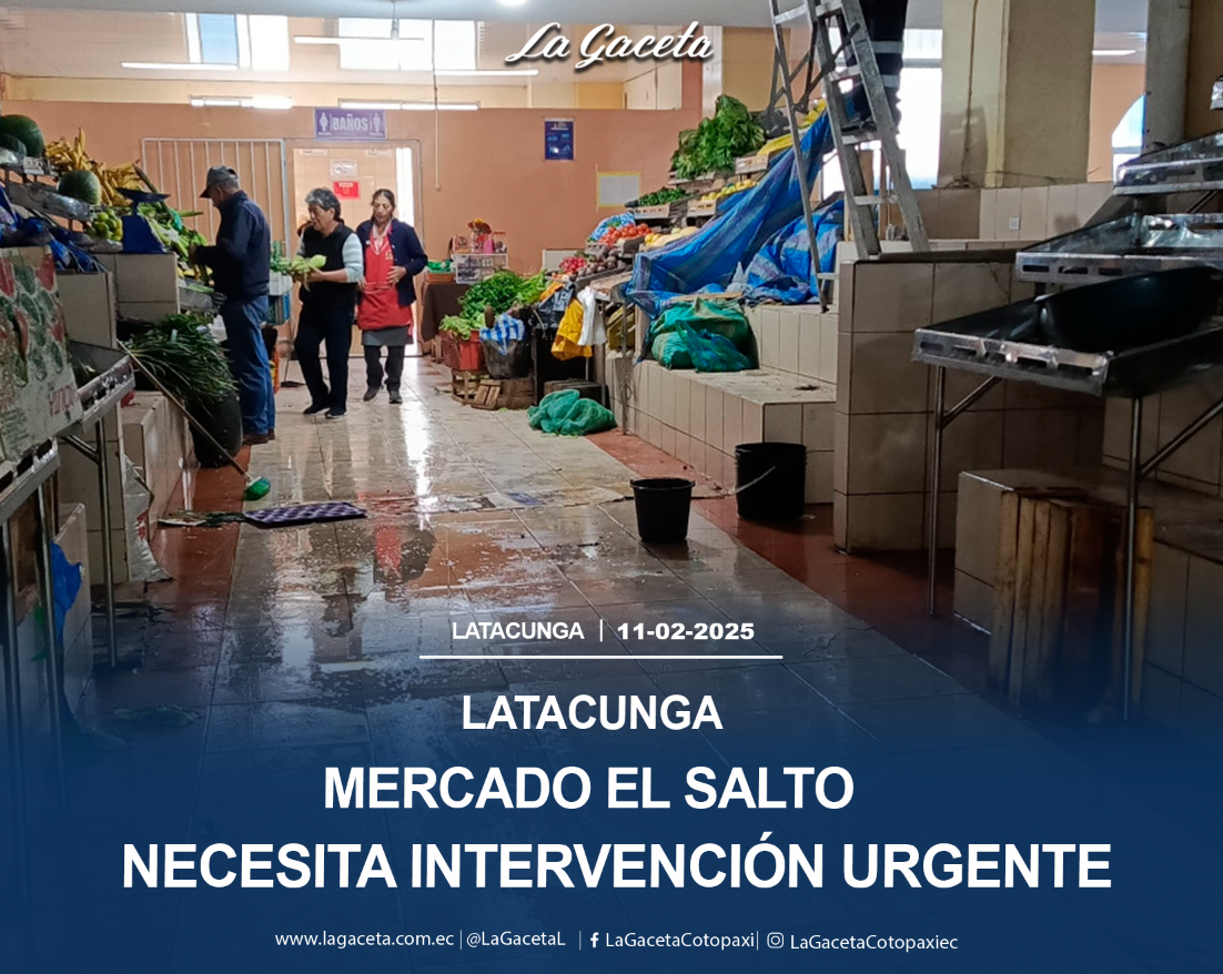 Mercado El Salto necesita intervención urgente