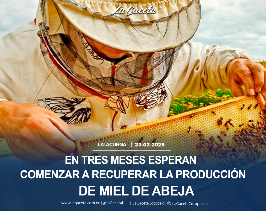 En tres meses esperan comenzar a recuperar la producción de miel de abeja