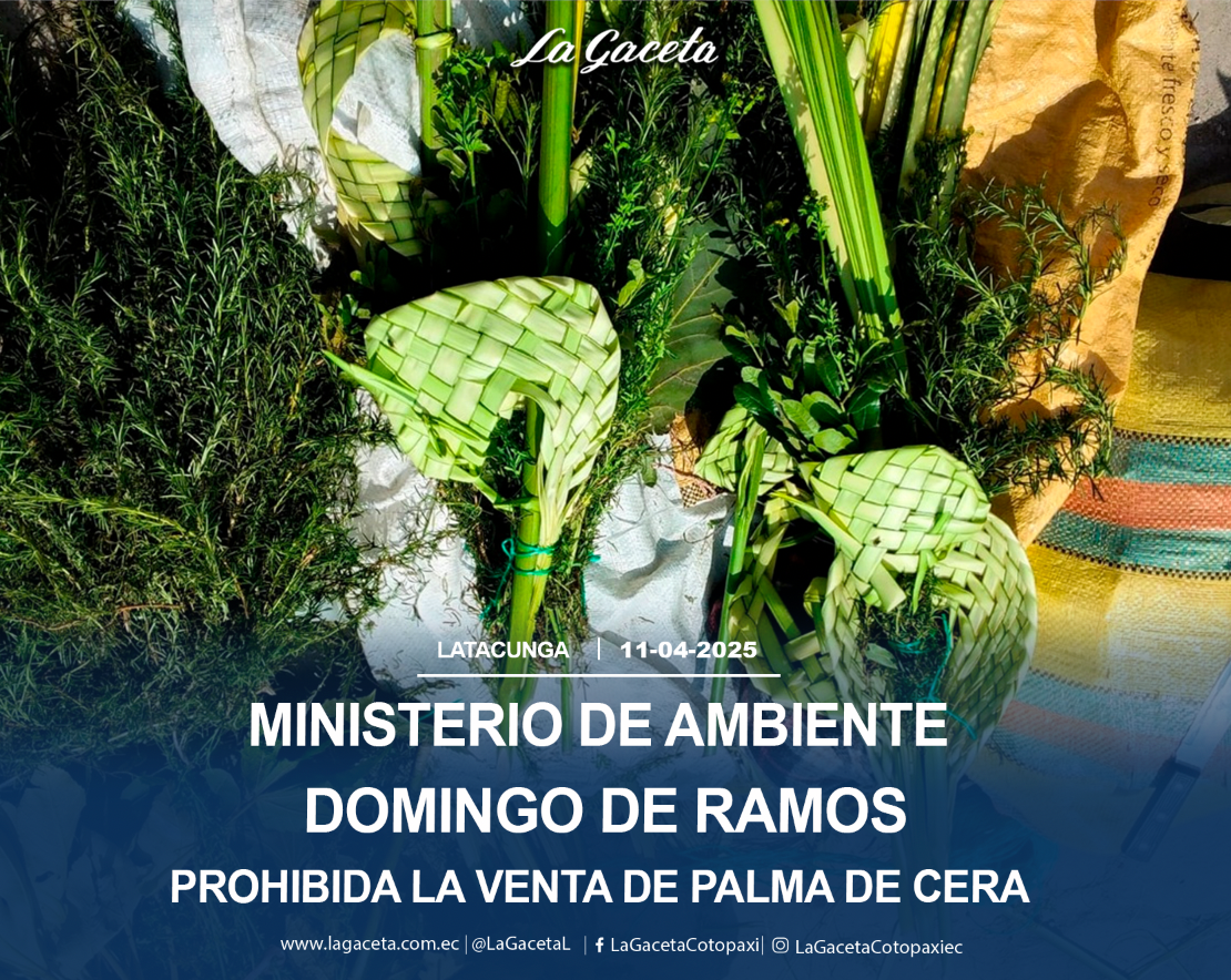 Ministerio de Ambiente