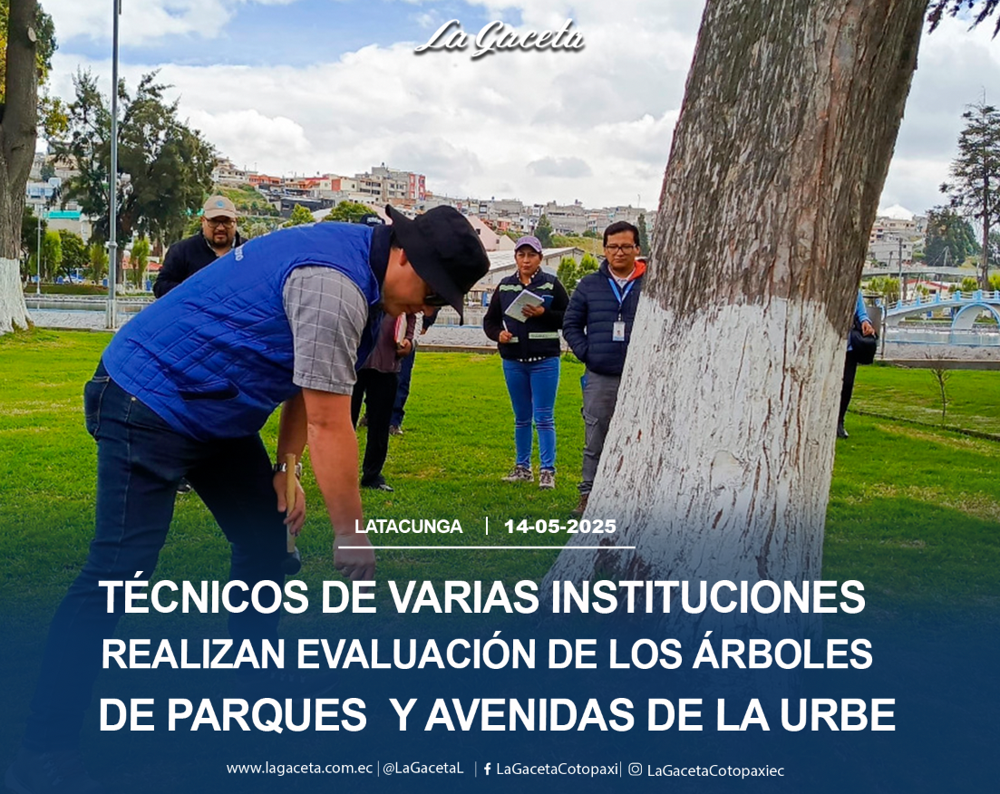 Técnicos de varias instituciones realizan evaluación de los árboles de parques y avenidas de la urbe