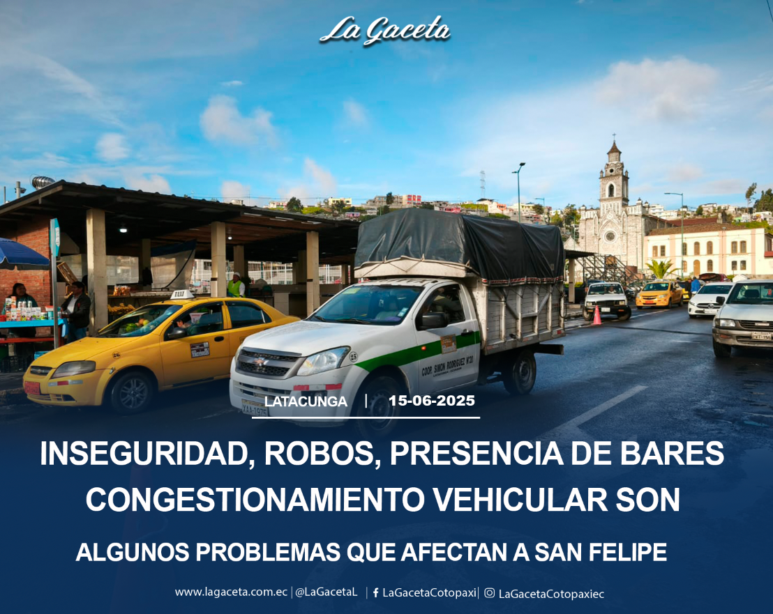 Inseguridad, robos, presencia de bares