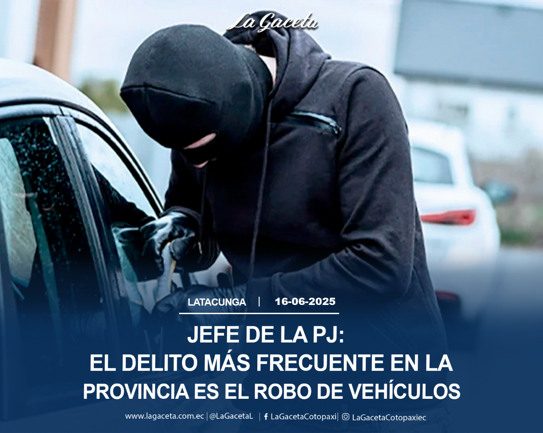 El delito más frecuente en la provincia es el robo de vehículos