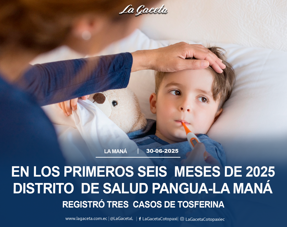 En los primeros seis meses de 2025 