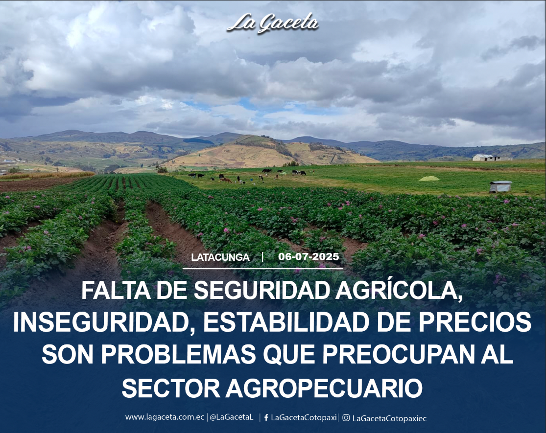 Falta de seguridad agrícola, inseguridad, estabilización de precios son problemas que preocupan al sector agropecuario