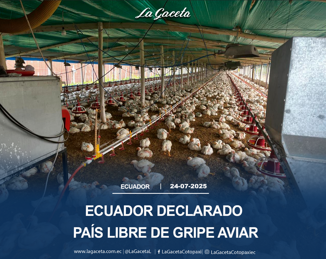 Ecuador declarado país libre de gripe aviar