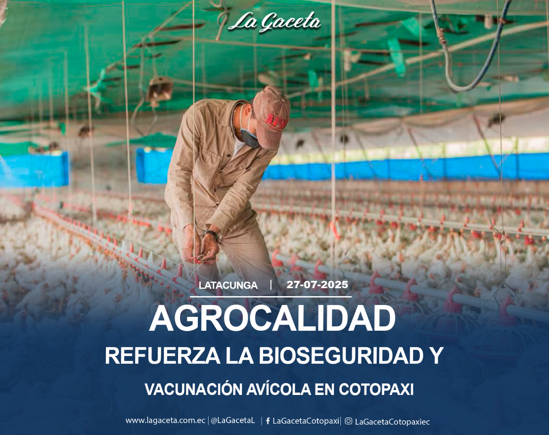 AGROCALIDAD refuerza la bioseguridad y vacunación avícola en Cotopaxi