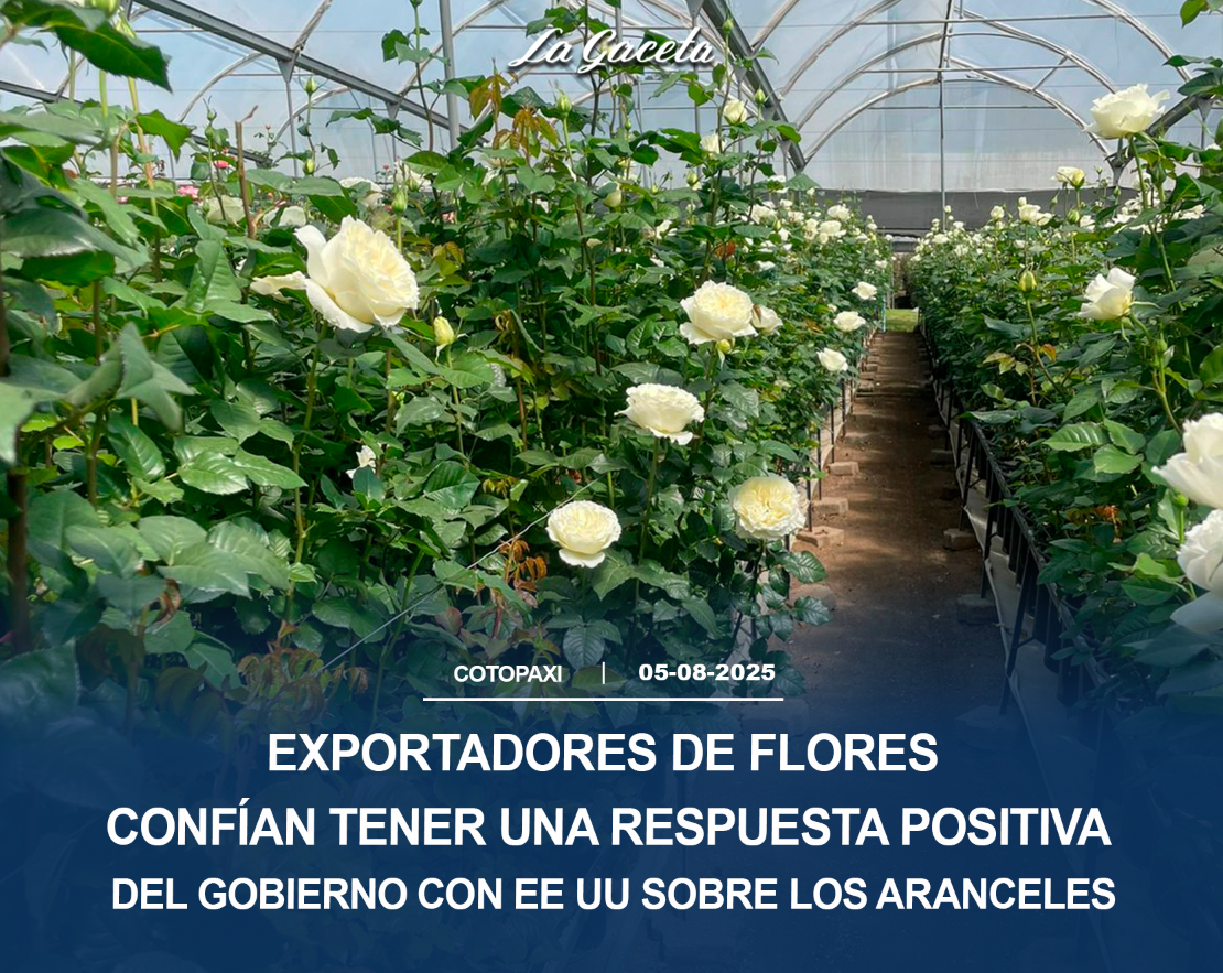Exportadores de flores confían tener una respuesta positiva sobre los diálogos que mantiene el Gobierno con EE UU sobre los aranceles