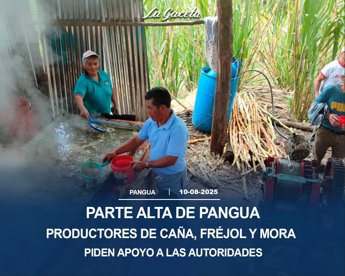 Productores de caña, fréjol y mora de la parte alta de Pangua piden apoyo de las autoridades