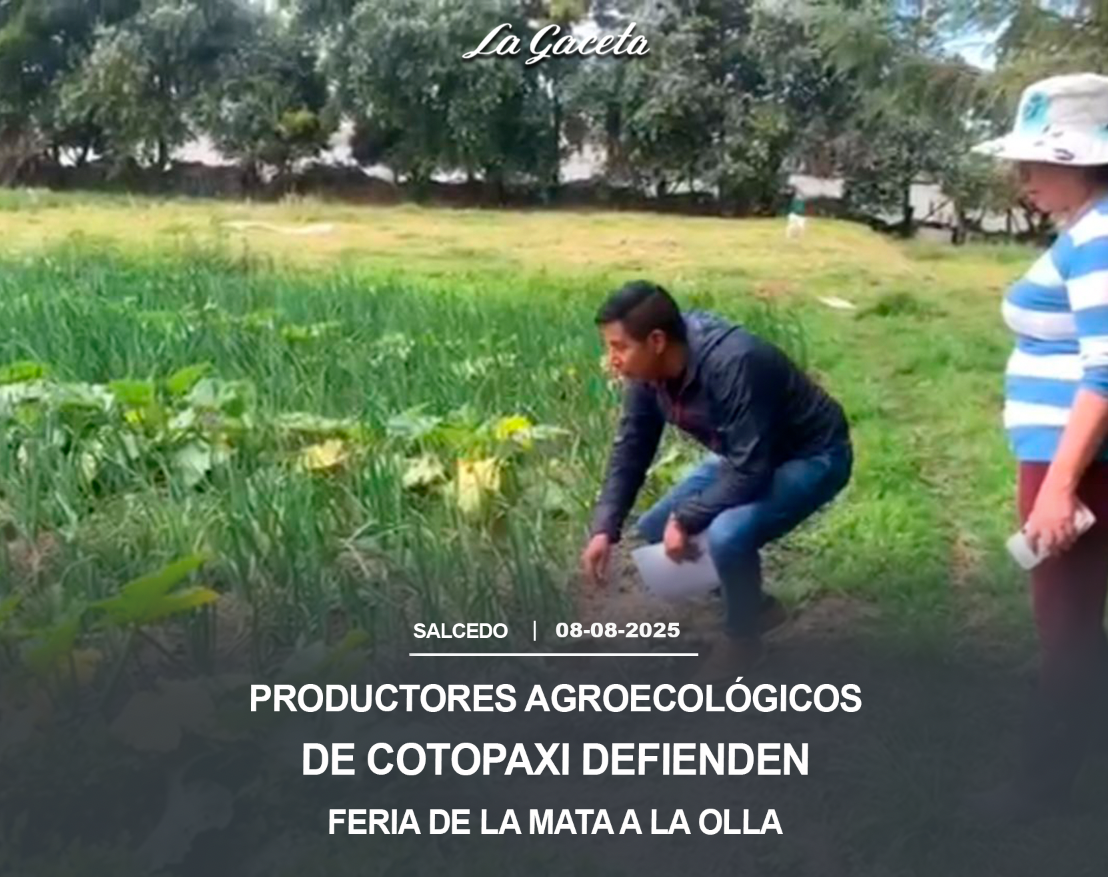 Productores agroecológicos de Cotopaxi defienden Feria de la Mata a la Olla