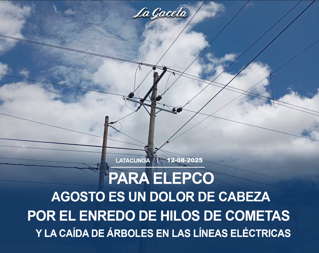 Agosto es un dolor cabeza por el enredo de hilos de cometas y la caída de árboles en las líneas eléctricas