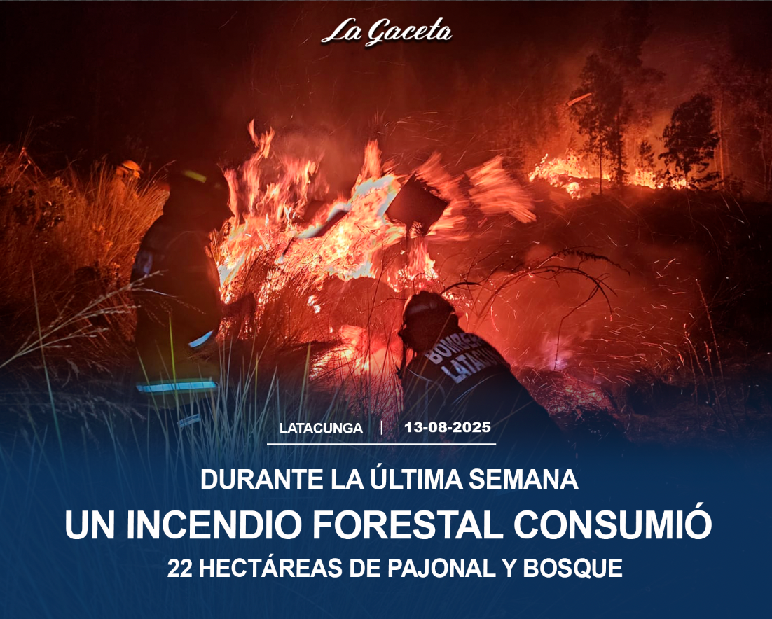 Durante la última semana un incendio forestal consumió 22 hectáreas de pajonal y bosque