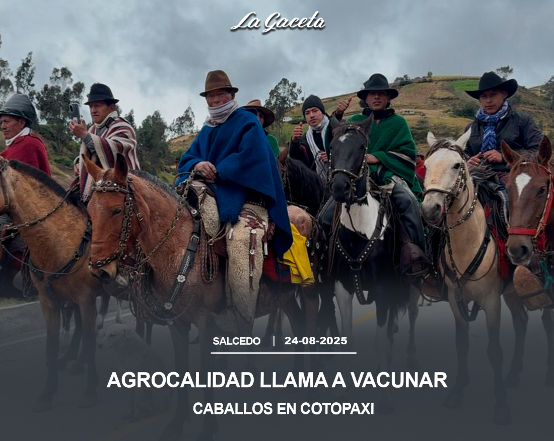 Agrocalidad llama a vacunar caballos en Cotopaxi