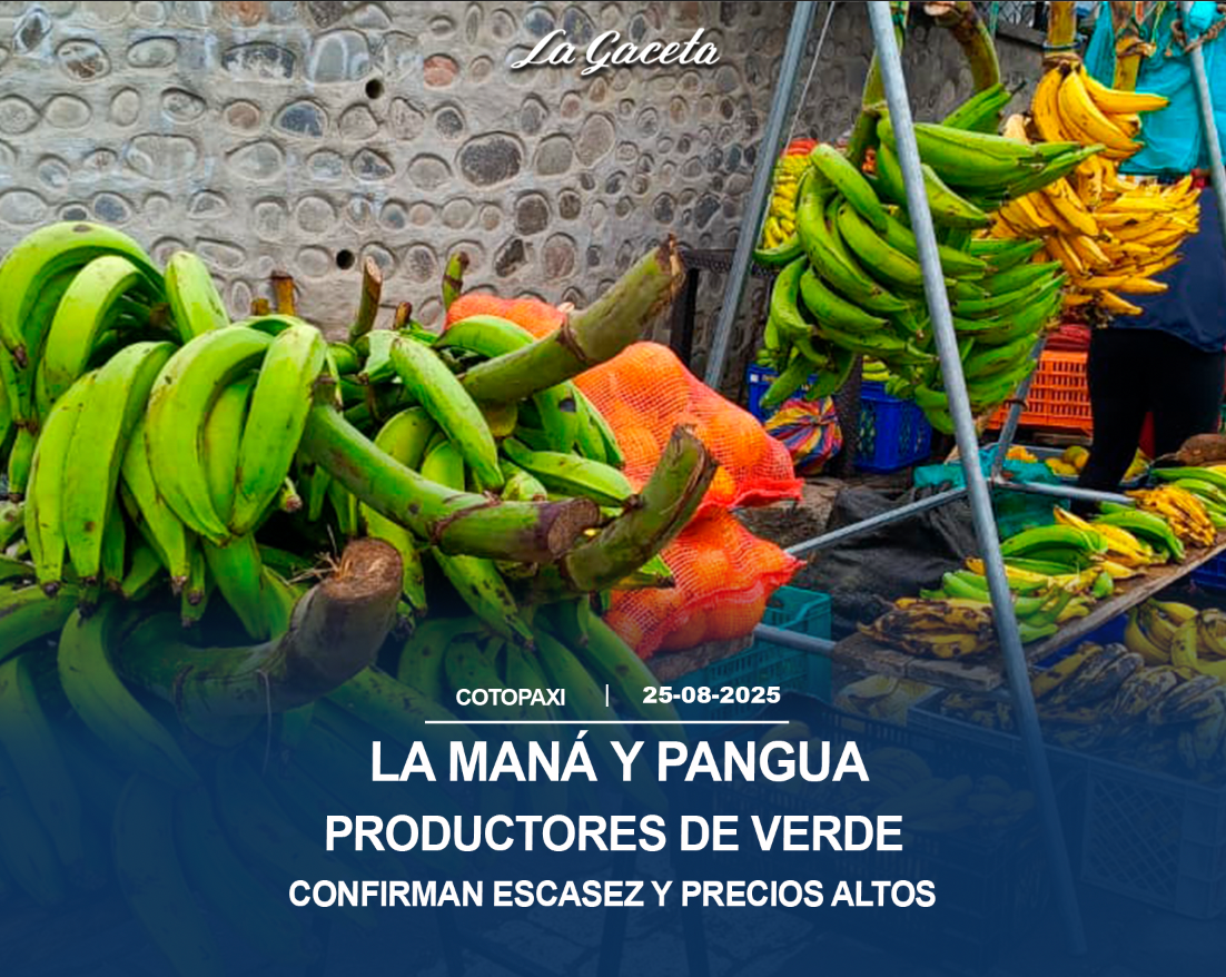 Productores de verde confirman escasez y precios altos 