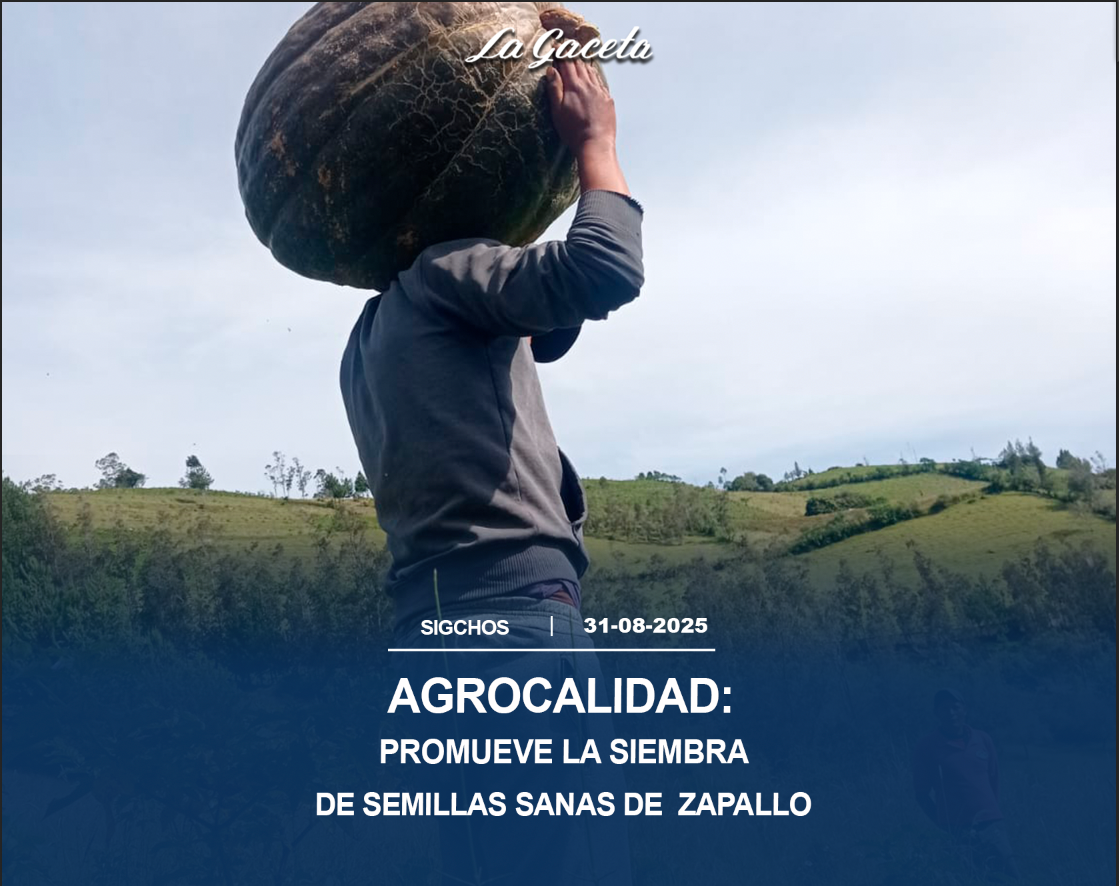 Promueve la siembra de semillas sanas de zapallo