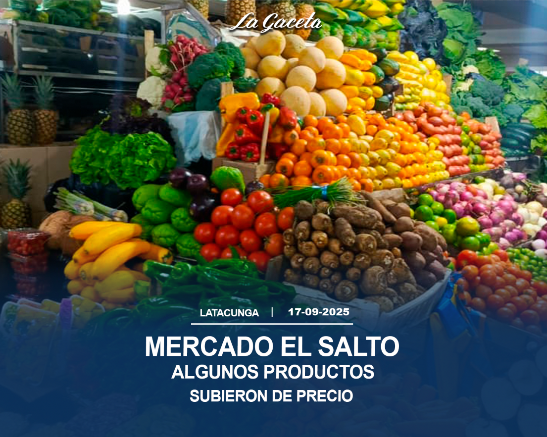 Mercado El Salto