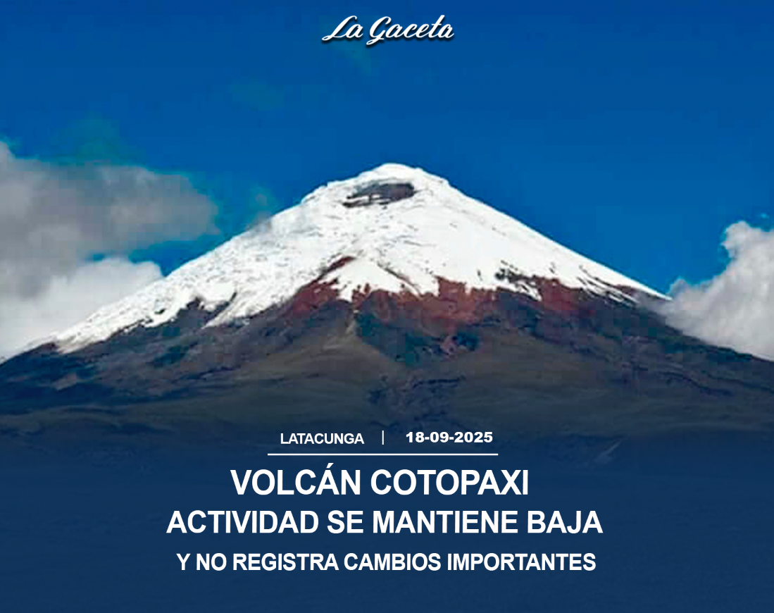 Actividad “se mantiene baja y no registra cambios importantes”