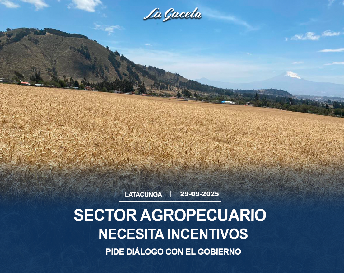 Sector agropecuario necesita incentivos 