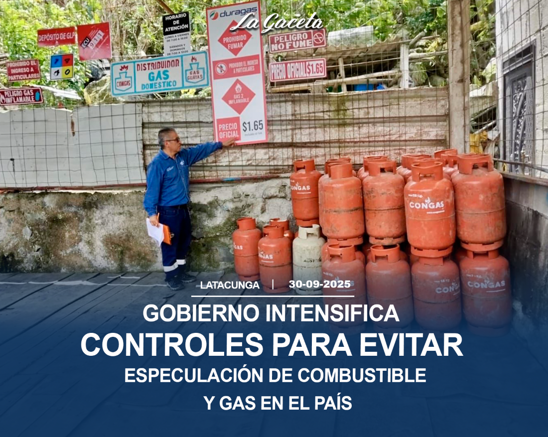 Gobierno intensifica controles para evitar especulación de combustibles y gas en el país