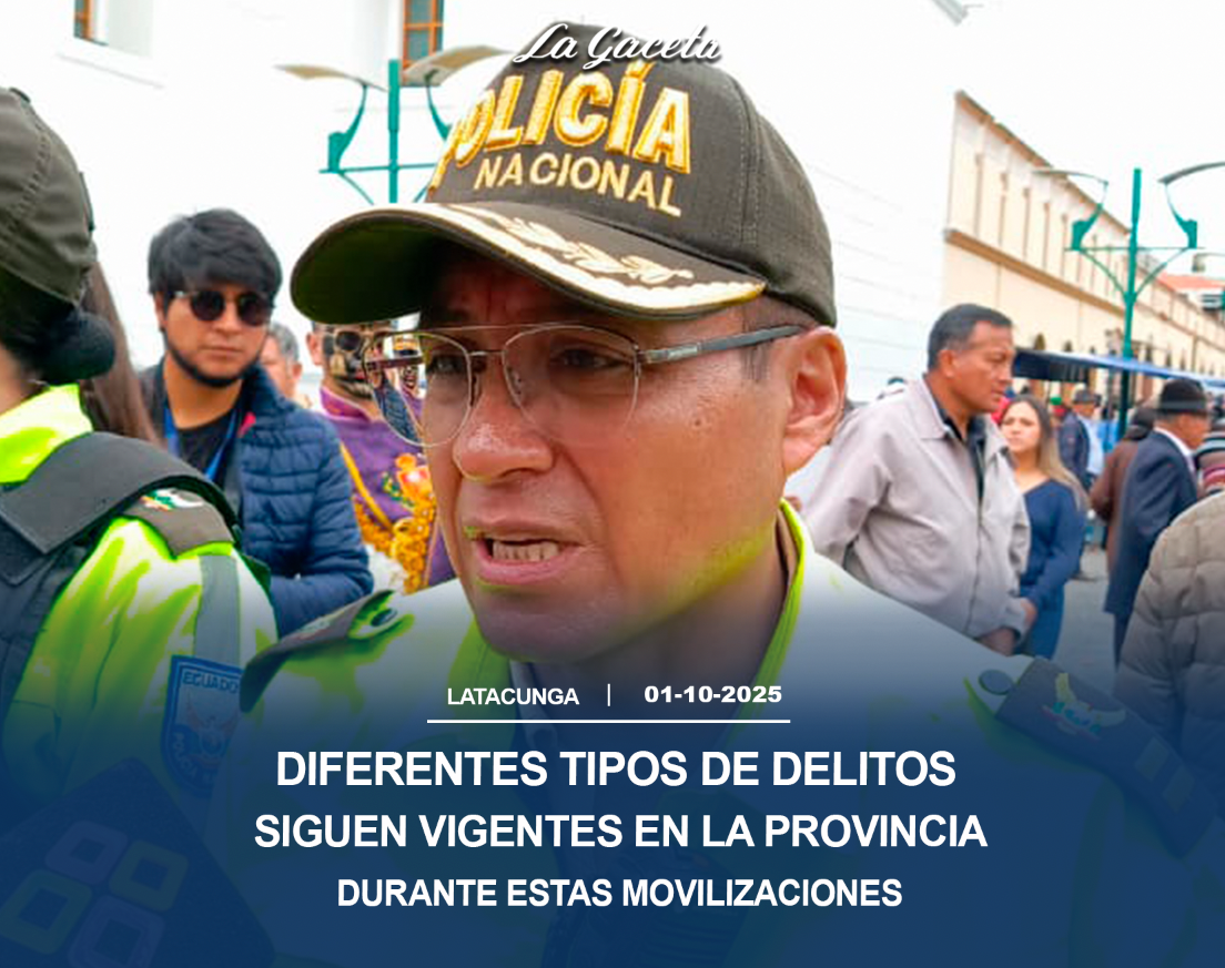 Diferentes tipos de delitos siguen vigentes en la provincia durante estas movilizaciones