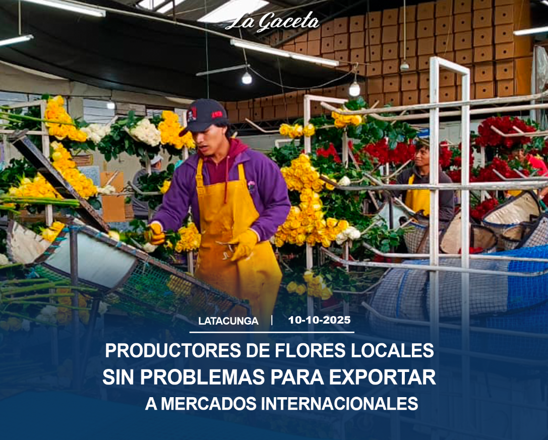 Productores de flores locales sin problemas para exportar a mercados internacionales
