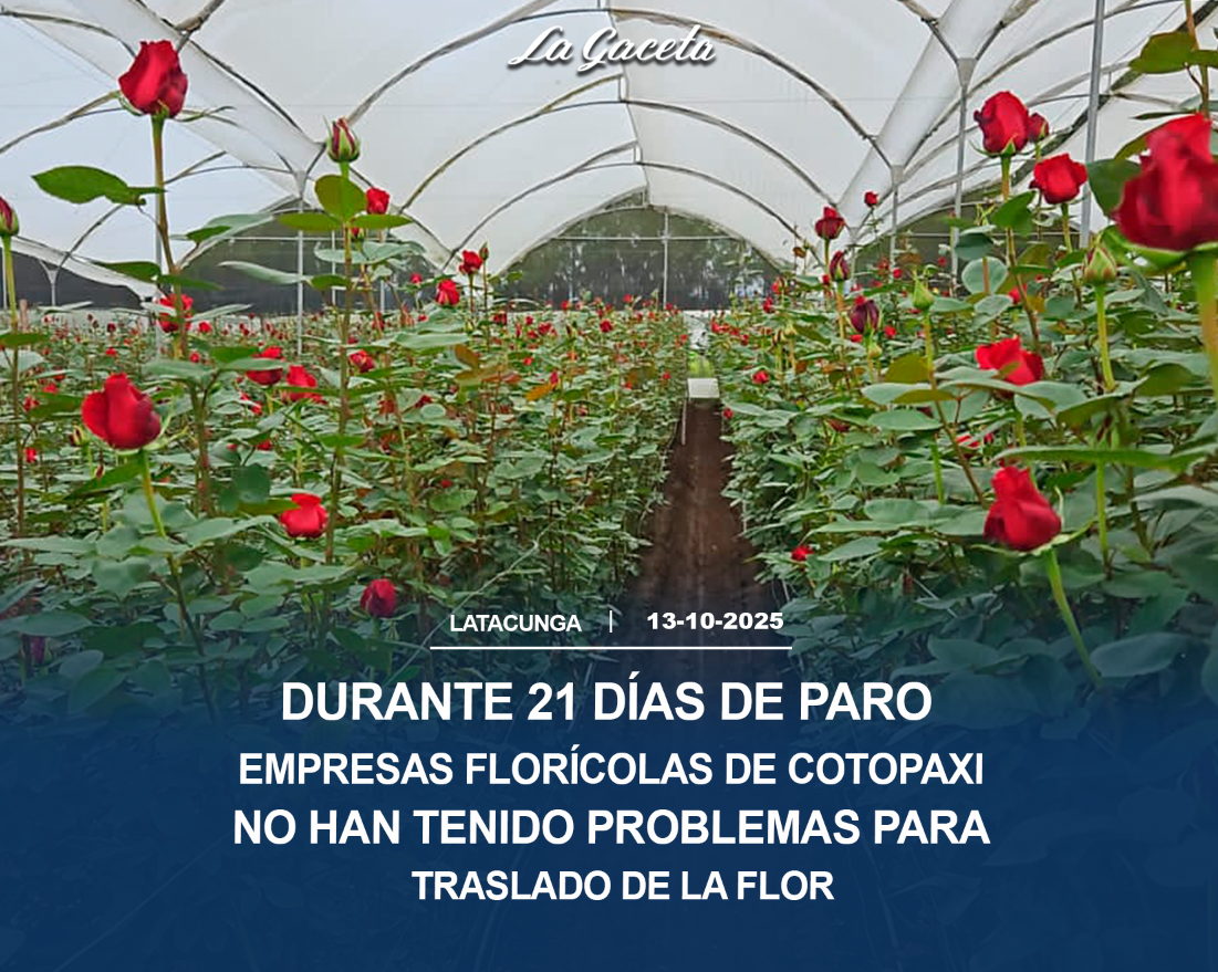 Durante los 21 días de paro 