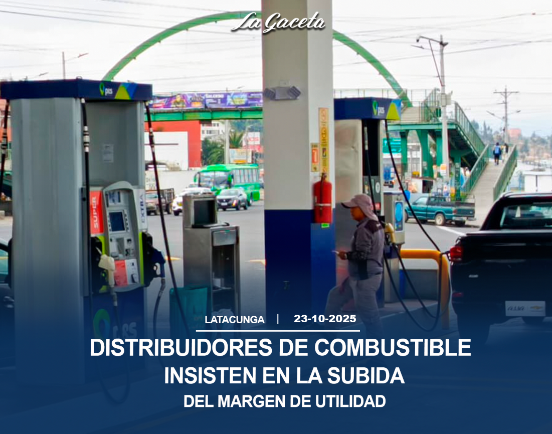 Distribuidores de combustible insiste en la subida del margen de utilidad