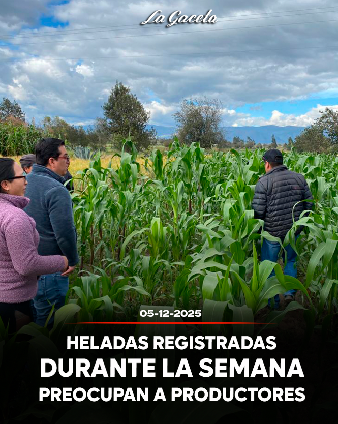 Intensas heladas registradas durante la semana preocupan a productores