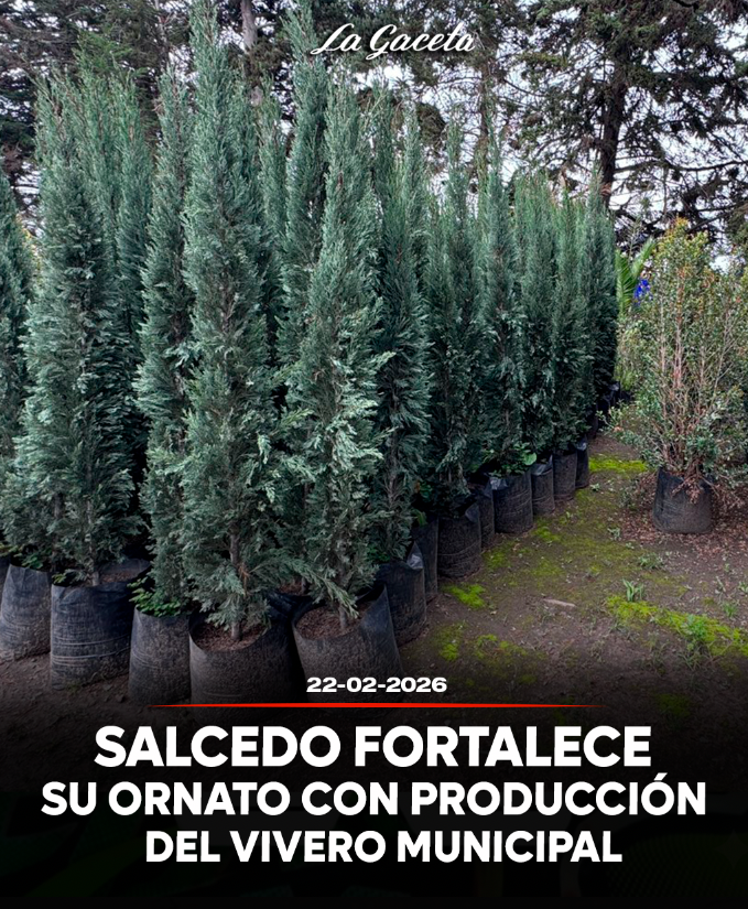 Salcedo fortalece su ornato con producción del vivero municipal