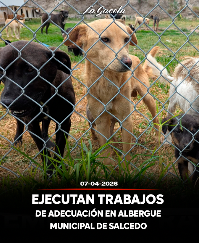 Ejecutan trabajos de adecuación en albergue municipal de Salcedo