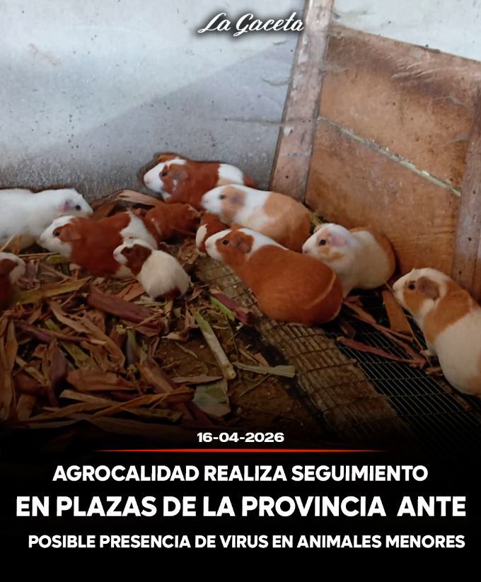 Agrocalidad realiza seguimiento en plazas de la provincia ante posible presencia de virus en animales menores