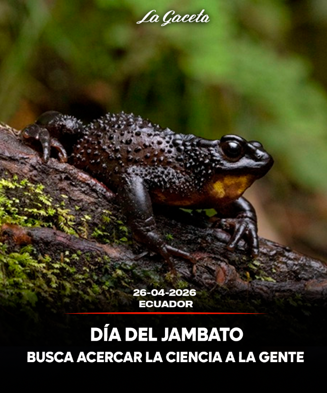 Día del Jambato buscan acercar la ciencia a la gente