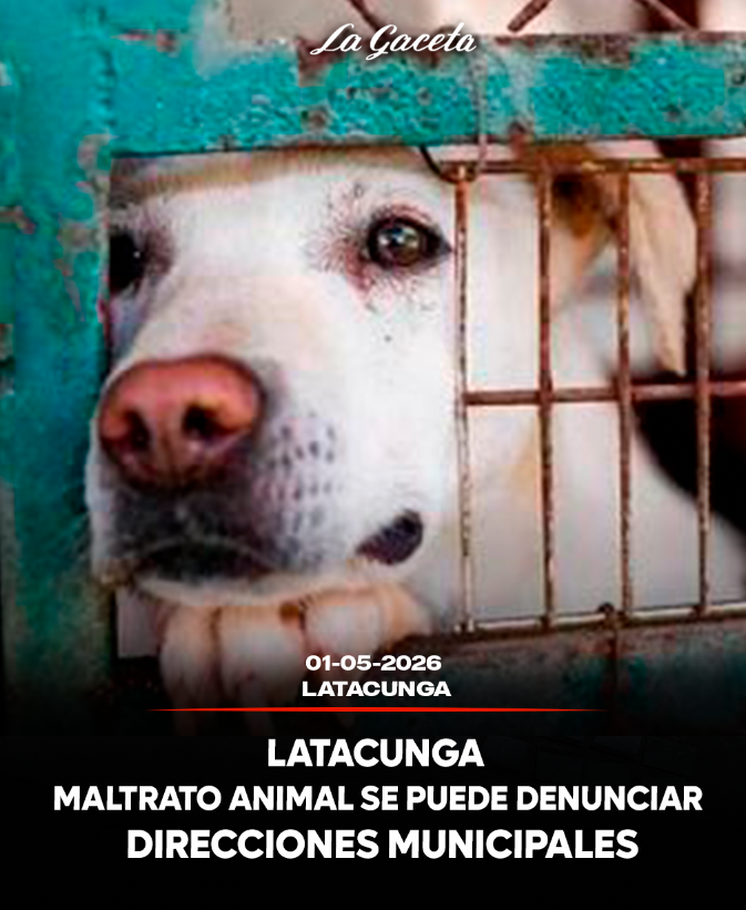 Maltrato animal se puede denuncia en direcciones municipales