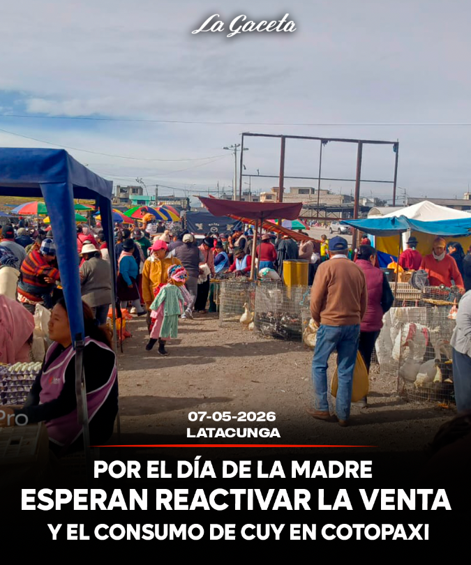 Por el Día de la Madre esperan reactivar la venta y el consumo de cuy en Cotopaxi